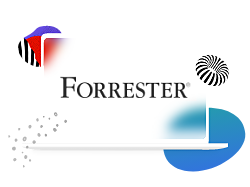 Rapport The Forrester Wave: Digital Asset Management for Customer Experience