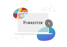 Report „The Forrester Wave: Digital Asset Management for Customer Experience“