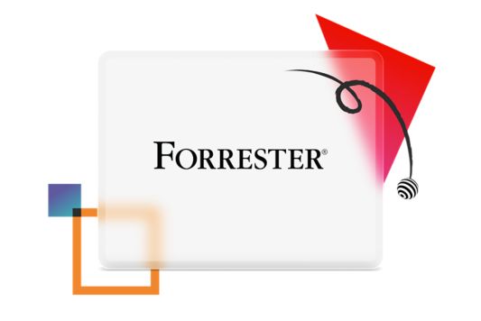 Ilustración del reporte The Forrester Wave DIP de 2022